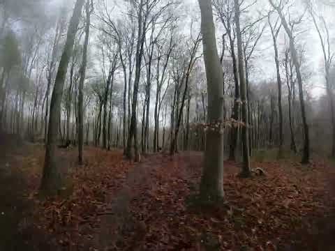 Testing out the Talaria MX5 Pro on the trails in the mud #talaria #gopro #ebikesouth