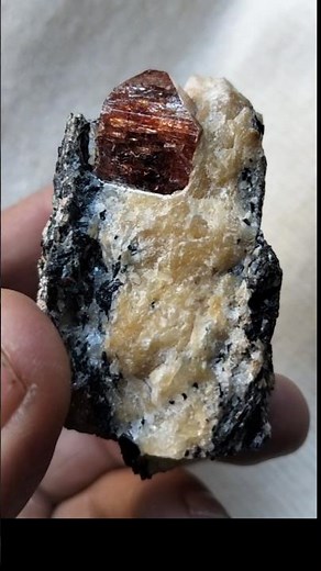 Zircon Crystal Specimen #crystalcollection #crystals #gemstone #minerals #shortsfeed #viralvideo