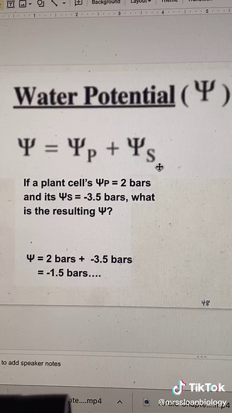 Winnie Sloan (Litten) on TikTok