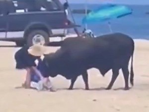 Horrifying video shows bull attacking woman on Mexico beach