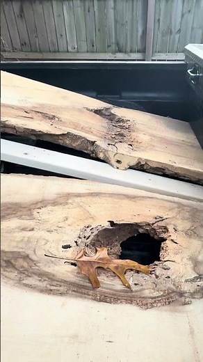 Hackberry #woodworking #liveedge #salvage #wood #tree