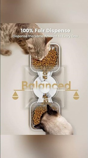 Automatic Cat Feeder for 2 Cats – Smart, Timed & Easy to Use