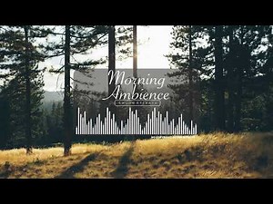 Morning Ambience Bird Chirping Sound Effects | No Copyright | Morning HQ