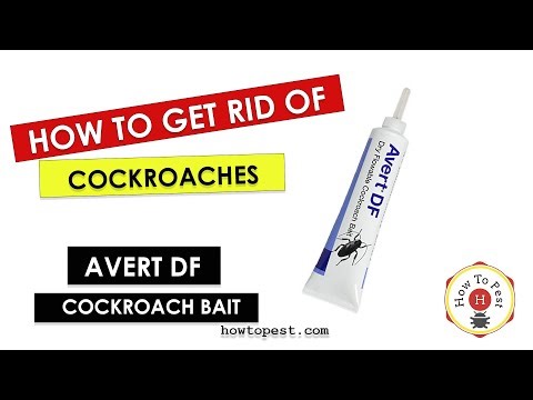 How to Get Rid of Cockroaches – Avert DF Dry Flowable Bait (BASF Pro Guide)