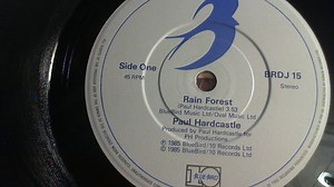Paul Hardcastle - Rain Forest / Forest Fire