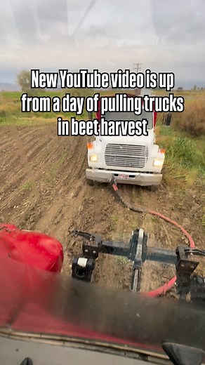 New YouTube video is up! Lots of stuck trucks! #hurstbrandfarms #farm #farming #food #harvest #stuck #mud #trucks #wet #sloppy | Hurst Brand Farms