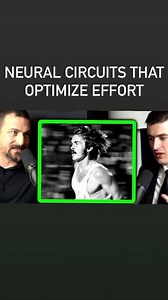 Andrew Huberman, Ph.D. on Instagram: "How should we breath while exerting effort? There is a hardwired relationship between how we breathe and our heart rate that is mediated by specific neurons in our brain stem. We can leverage that circuit to increase or decrease our heart rate in real time. _ There is also emerging evidence that physiological sighs (double inhale-exhale) can be applied during steady cadence effort to optimize heart rate variability (HRV) and the effort/physical output ratio.
