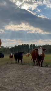 20K views · 5.1K reactions | My girls in the Sept glow…☀️❤️ | Amber Marshall | Facebook