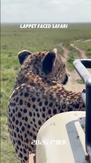 Serengeti – The Ultimate Safari Experience #tanzaniasafari #tanzaniatravel #vacationtravel #tour