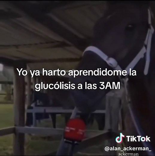 Glucólisis: Proceso Metabólico y su Importancia