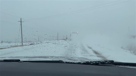 This was our drive in Iowa this morning!!!! I need some Florida weather again! Will be back in the Sunshine State Monday afternoon. It is 2 degrees right now but supposed to be -9 actual temperature in the morning. ❄️❄️❄️❄️❄️🥶🥶🥶🥶🥶 | Terri Passig