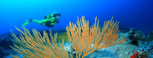 Scuba - diving - The Official Gran Canaria Tourist Website
