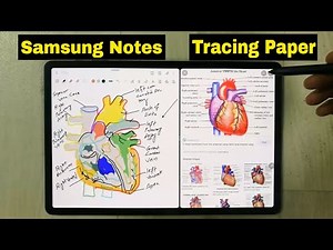 How To Use Samsung Notes as Digital Tracing Paper For Diagrams