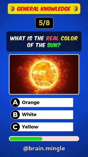 General Knowledge Quiz 🧠 #gk #gkquiz #LearnOnTikTok #quiz #schoolinterview #trivia #generalknowledge #tiktok #foryou #gkquestion #brainmingle | Brain Mingle