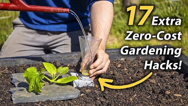 17 Brilliant Free Vegetable Gardening Hacks – Easy & Productive
