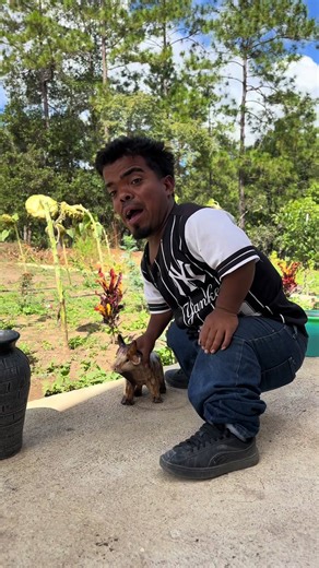 Tu tía te mandó Coflex #BhetoReyes @Peluchin 504 🫡 @Jelvin Ramírez 🩵🦤