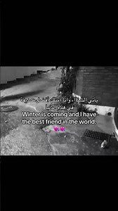 احَلى شتاء ويَ احَلى نرجس ورقيه 💘. احبجن بويهه