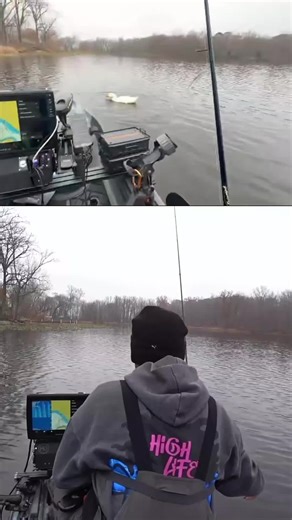 Swallow #duck #kayakfishing #fishing #fishtok