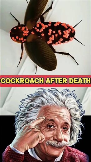 🪳😱Can a Dead Cockroach Still Move?Unbelievable Truth#science#facts#shorts#shortsfeed#youtubeshorts