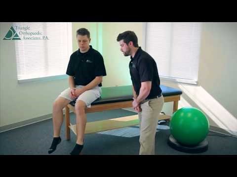 Sitting Knee Flexion