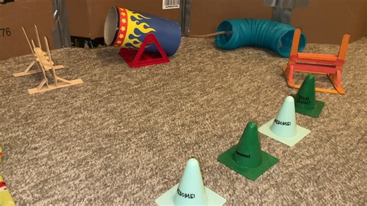 Tofu doing a fun agility course! Agility isn't really Tofu's forte (she's very chill and kinda lazy for a female rat lol), but she enjoys the occasional course, especially when she has other rats to compete against! . Want help with training your rats tricks? I have a rat training book available here! https://www.etsy.com/listing/1605480026/the-ultimate-guide-to-rat-training | Shadow The Rat - Rattrixs