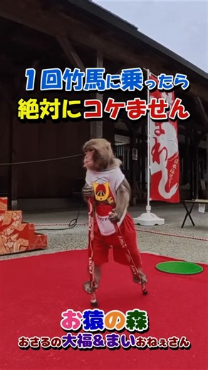 Monkey Forest / Daifuku-kun falling on stilts ② / Roadside Station Kushigaki no Sato #MonkeyFores...