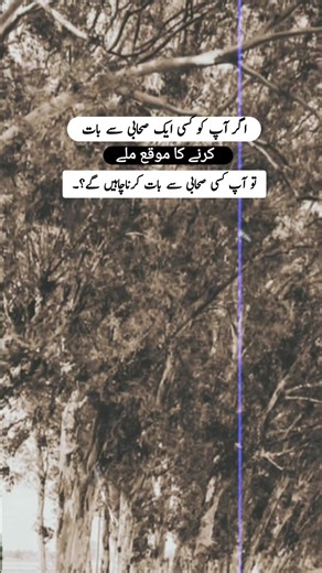 Urdu Poetry Trend with Trending Song