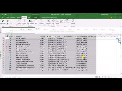 Red Zuma project timelapse Project Management