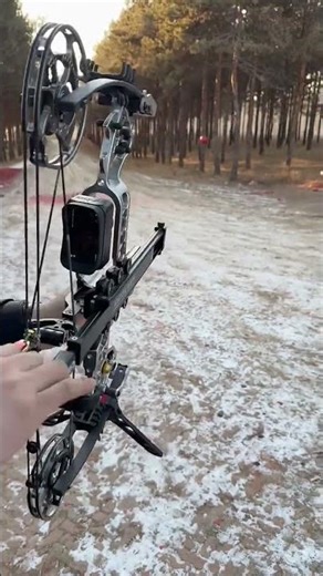 Perfect Shot! 🎯#music #archery #compoundbow #archerygear #archerylife #archerylife #archerypractice