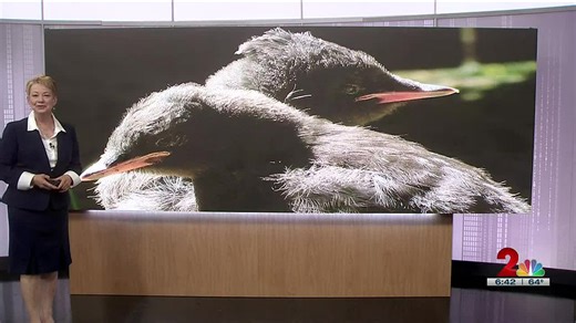 Aleutian low pushes out high pressure