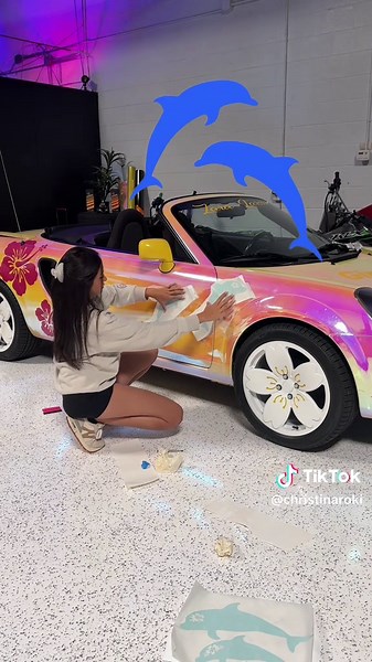 Zara Larsson's Car Gems: A DIY Auto Style Transformation 💎