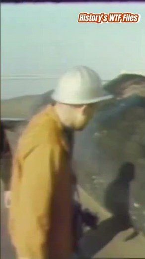 The Exploding Whale – When Authorities Blew Up a Whale and Regretted It