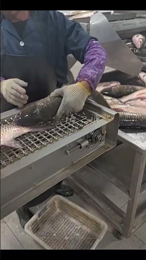 Fish Scaling Machine #seafoodprocessing #seafoodprocessing #food