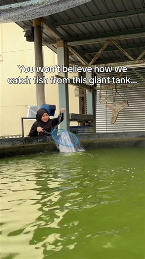 No fishing rod. No swimming. So… how would YOU catch fish from this giant tank? Comment your guess!