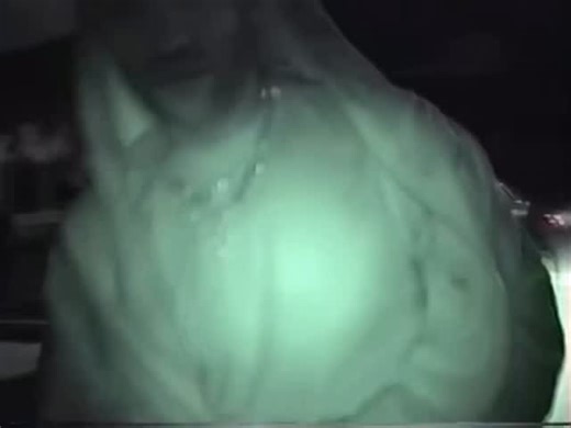 Lithe on Instagram: "TICKETS OUT NOW ‼️ EUPHORIA TOUR US/AUS🦇"