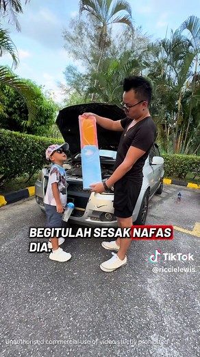 Air Filter Replacement for Proton Saga and Related Models