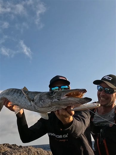 Barracuda Encounter: Fishing Adventure Gone Wild