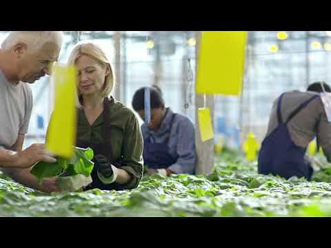 10 Reasons Why Agriculture Is Important