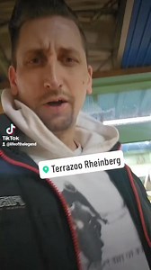 #enclosure #tigerpython #burmesepython #reptilekeeper #amazing #terrariumbau #reptilesoftiktok #tiktok #tiktokgermany #python #snake #tooltime #work #exoticpets #wow #terrarium #viral #viraltiktok #foryou #4u #schlange #kiss #love #foryoupage #passion #exotic #fy #fypシ #fypage | Fabians Reptilienraum