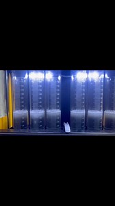 How to perform injector flow & testing #fypシ゚viralシ #carmaintenance #automotive #viralvideoシ #reelsfacebook | TurboDottComm