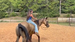 9.1K views · 702 reactions | MY BEAUTIFUL CHEYENNE AND WRANGLER | Max Bishop | Facebook