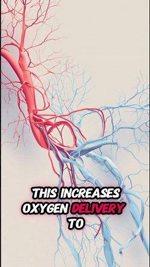 Boost Endurance: Nitric Oxide & Vasodilation Tips 🚀 #NitricOxide #FitnessTips #Supplements