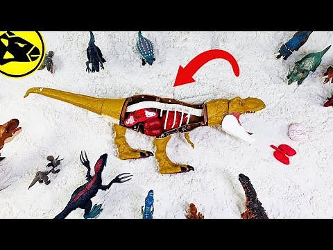 What's Inside T-Rex Belly?