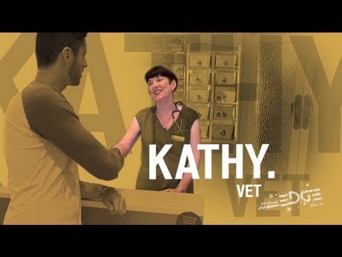 A Day In The Life Of A Vet - Animal Doctor