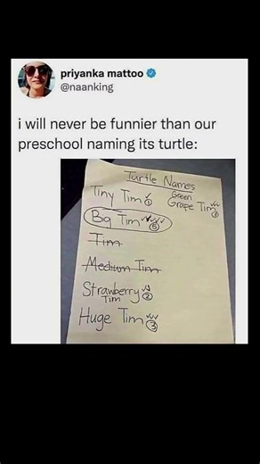 preschool turtles with the best names ever | Subscribe for more #motivation 😊👍