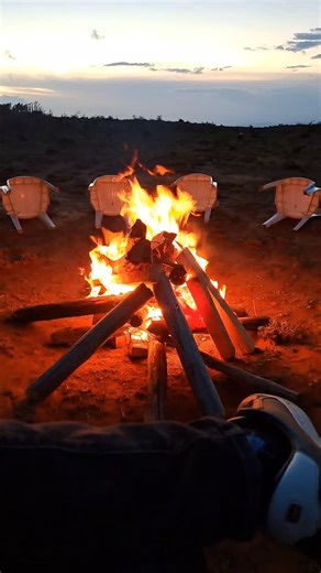 🐾fun_man🐾 on Instagram: "Another year to celebrate 🍾 Happy plus one"