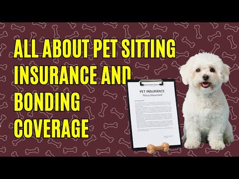 What “Insured & Bonded” Really Means for Dog Sitting | Pet Sitting Insurance Explained