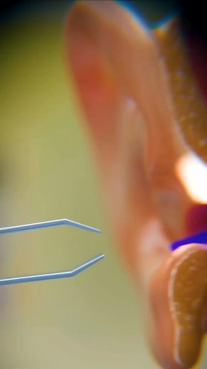 Shocking Things Found In Ears, 🤯 . . . #ears #3d #animation #education #knowledge #facts #fb #zackdfilm #virals #fbyシvideo #reelsviralシ #AI #animators Zack D. Films Sangam Chauhan RS | Sangam Chauhan RS