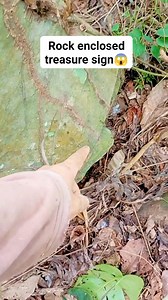 Frog with rock enclosed treasure sign😱😱 #YamashitaTreasure | Wenlies Tibi