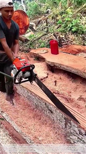 Mastering the Cut: How Precision Sawing Shapes Modern Woodworking